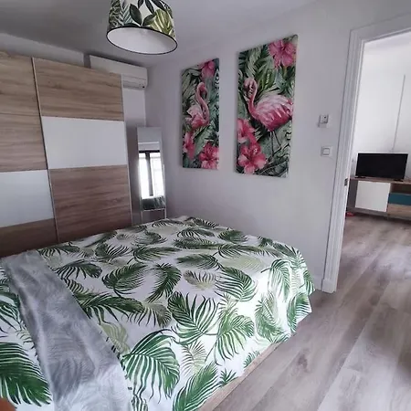 Daire Catedral Pirata Cadiz